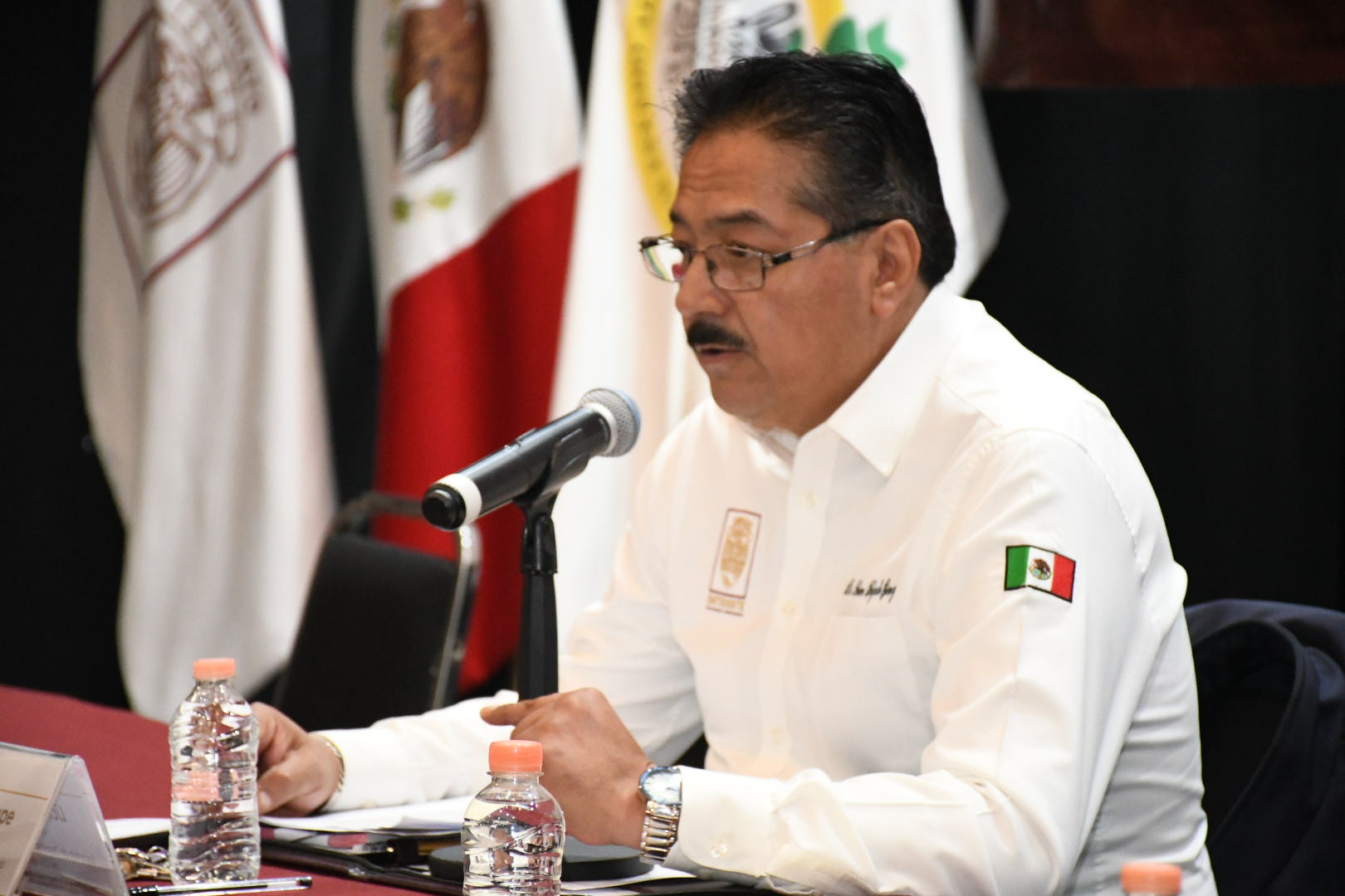 XIX Congreso Seccional Ordinario, Sección IV, “Clínicas de Especialidades” 