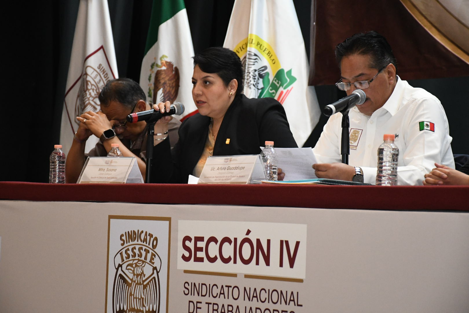 XIX Congreso Seccional Ordinario, Sección IV, “Clínicas de Especialidades” 