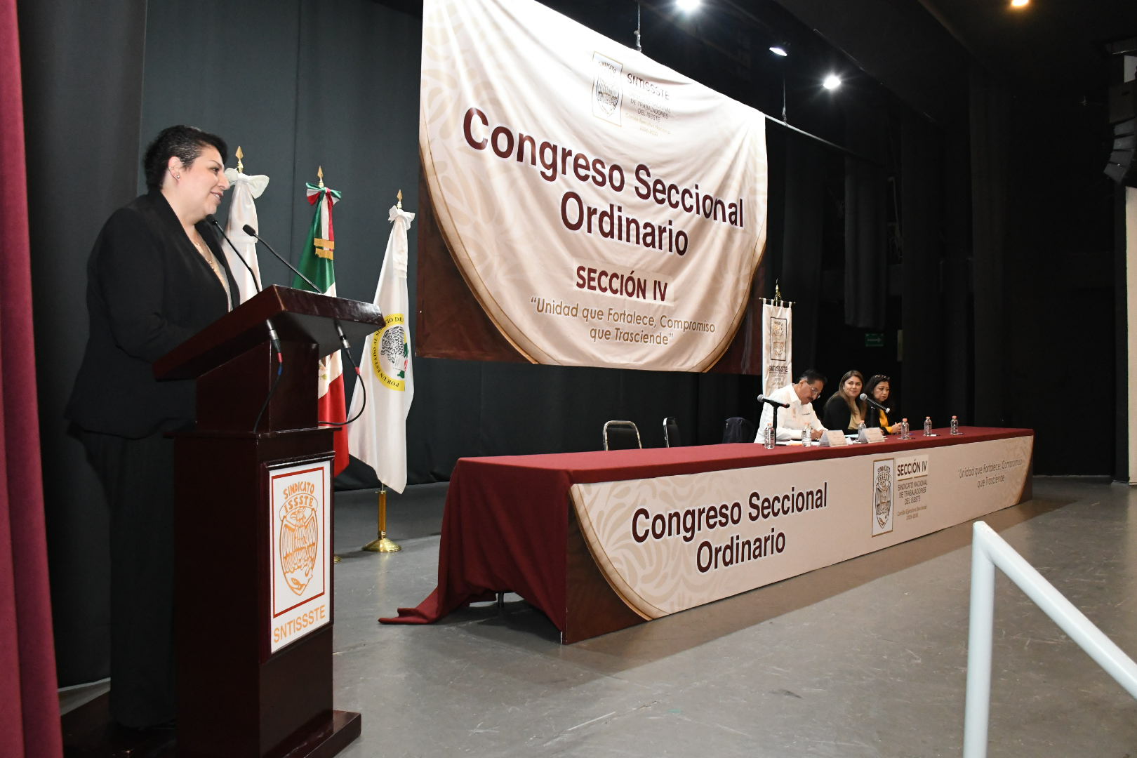 XIX Congreso Seccional Ordinario, Sección IV, “Clínicas de Especialidades” 