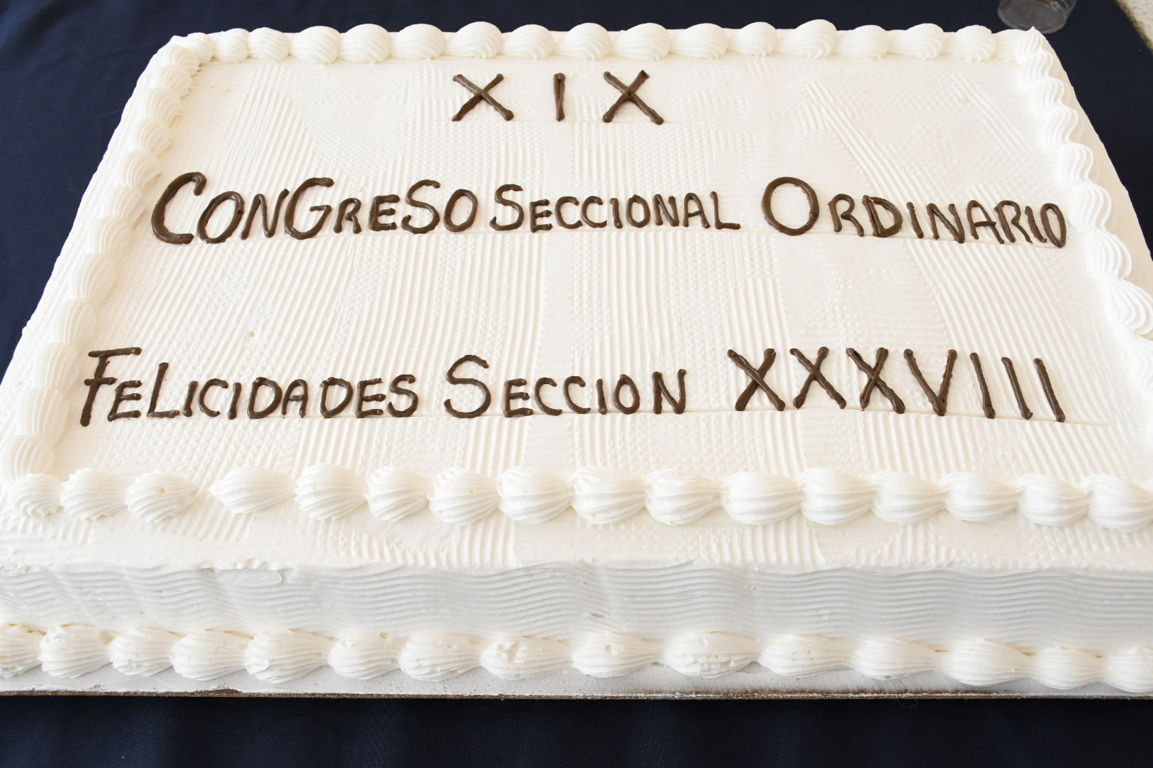 XIX Congreso Seccional Ordinario, Sección XXXVIII, HG “Dr. Gonzalo Castañeda” 