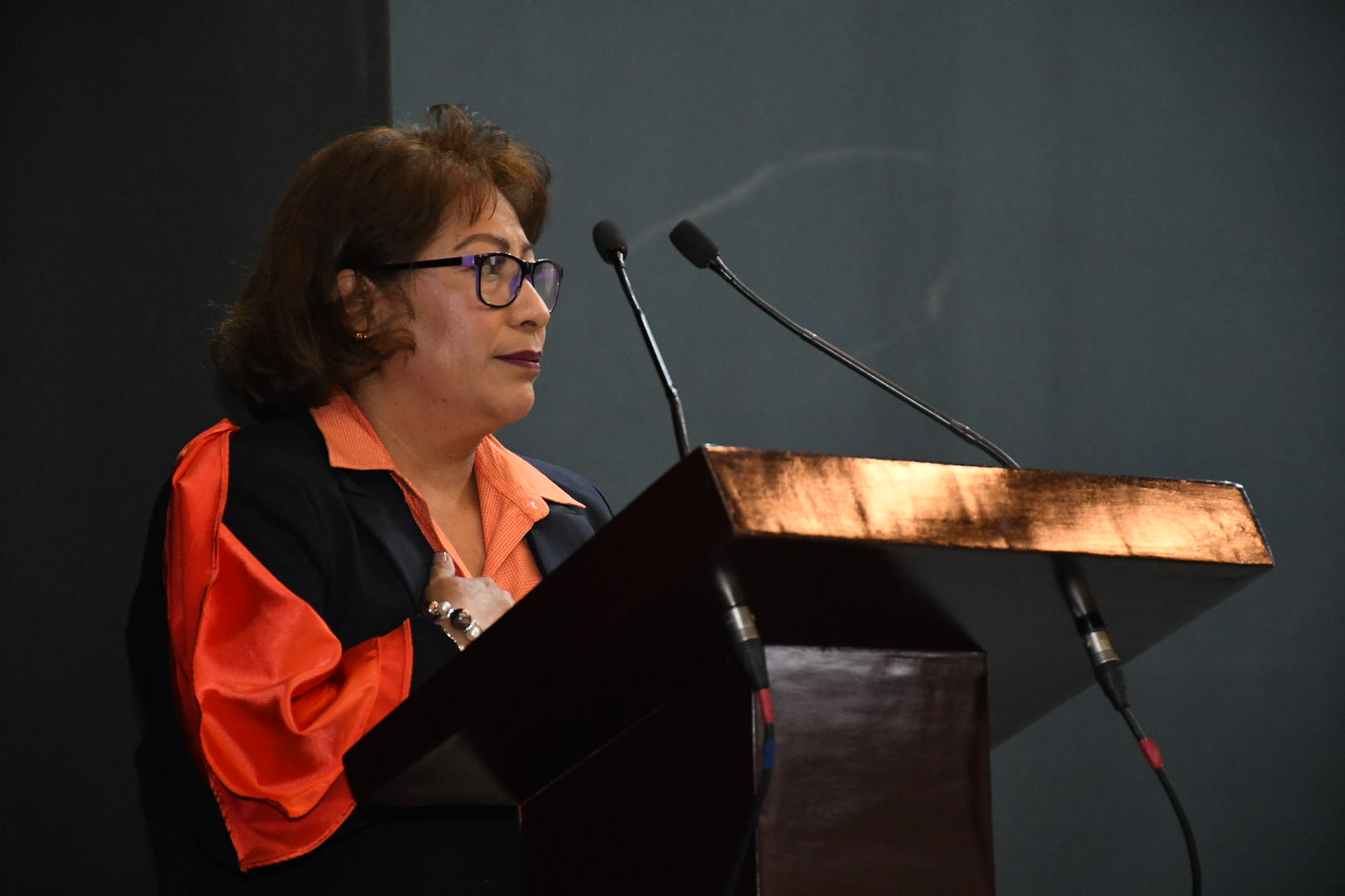 XIX Congreso Seccional Ordinario, Sección XXXVIII, HG “Dr. Gonzalo Castañeda” 