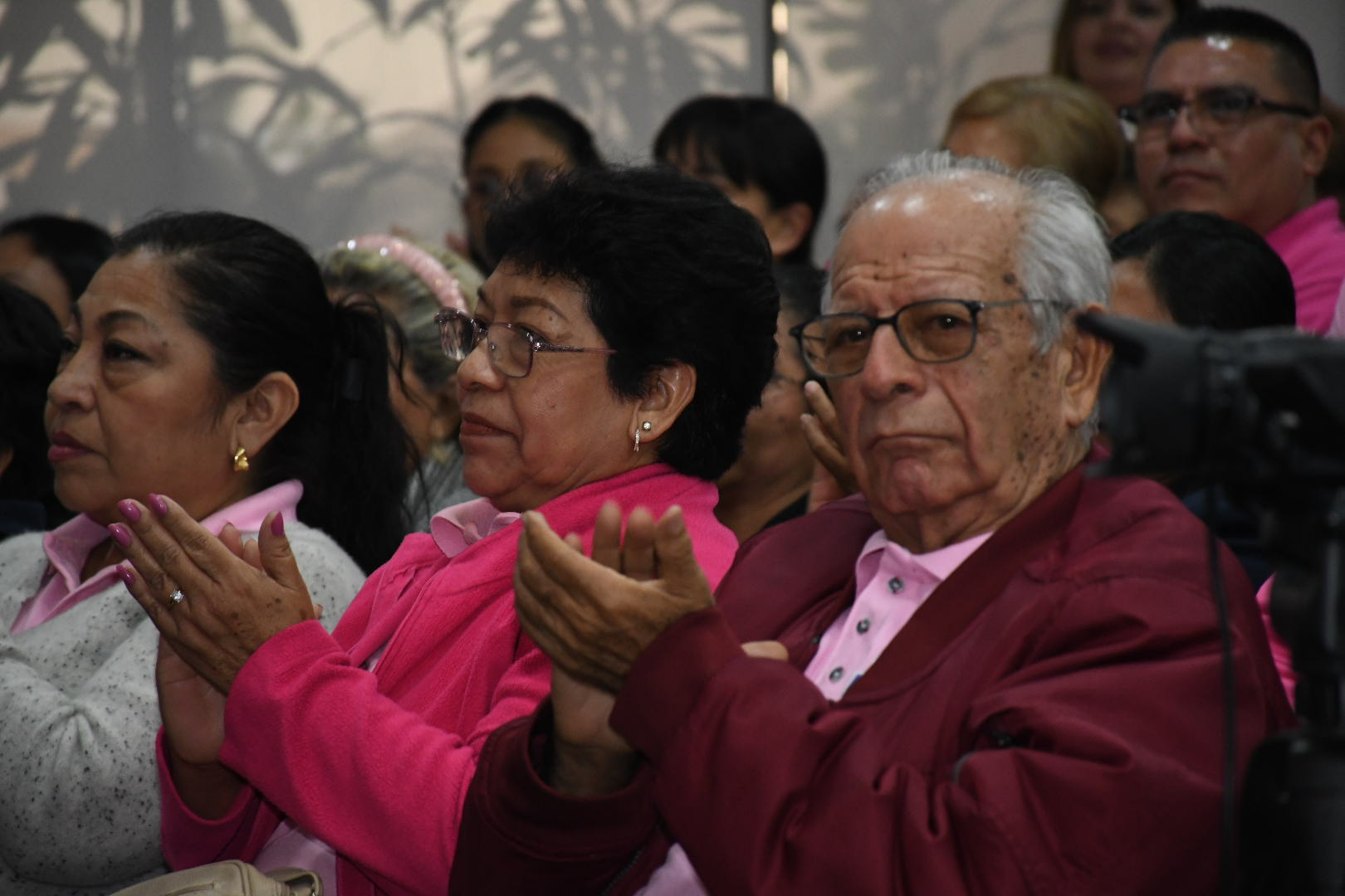 Salutación de la Sección XXXV, Veracruz