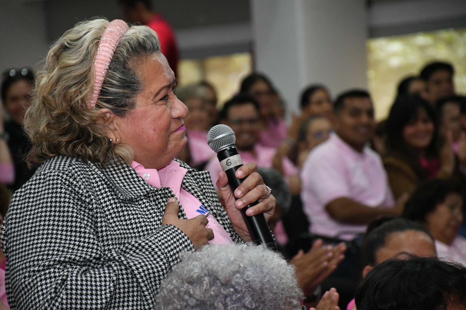 Salutación de la Sección XXXV, Veracruz