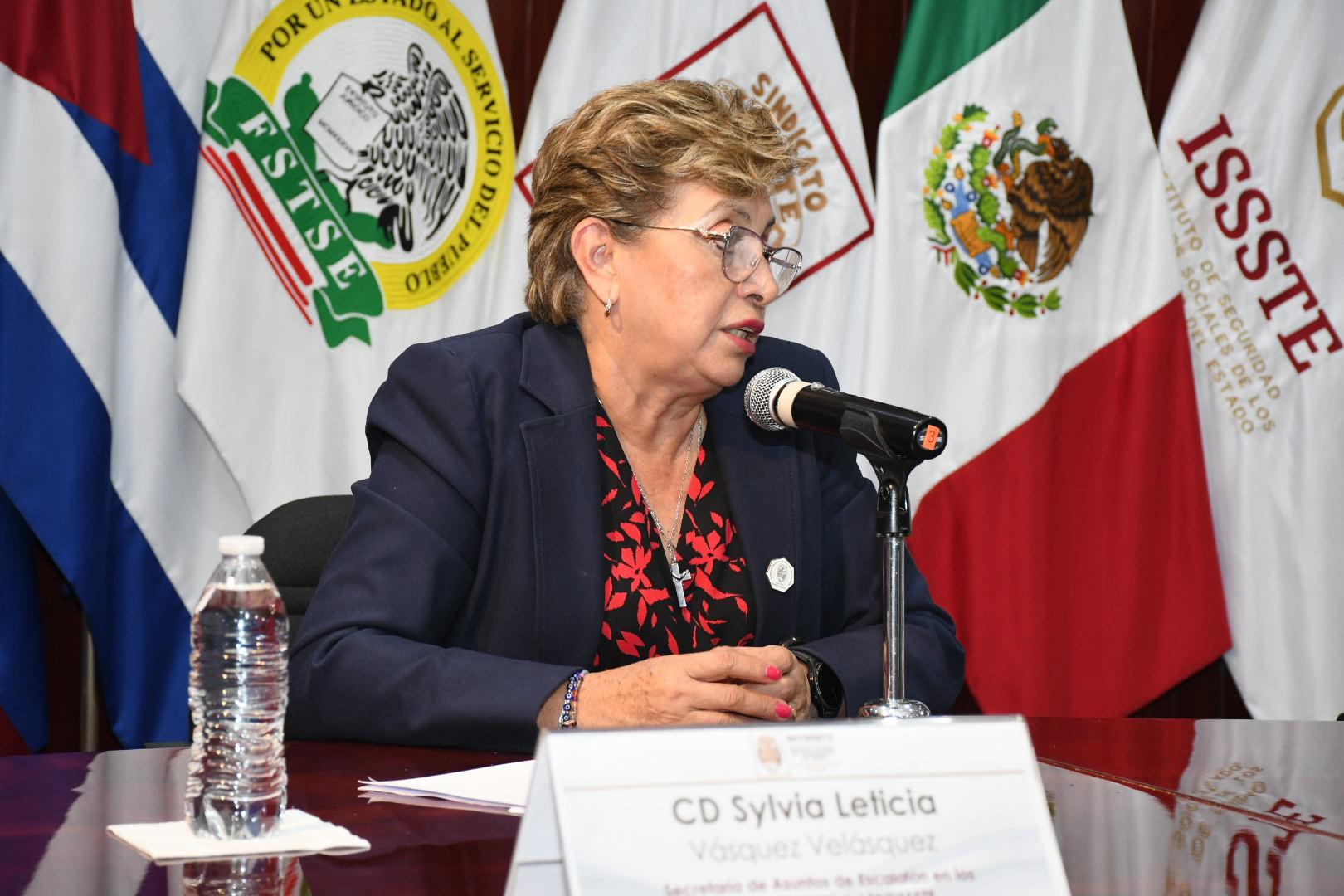 Salutación de la Sección XXXIV, Tlaxcala