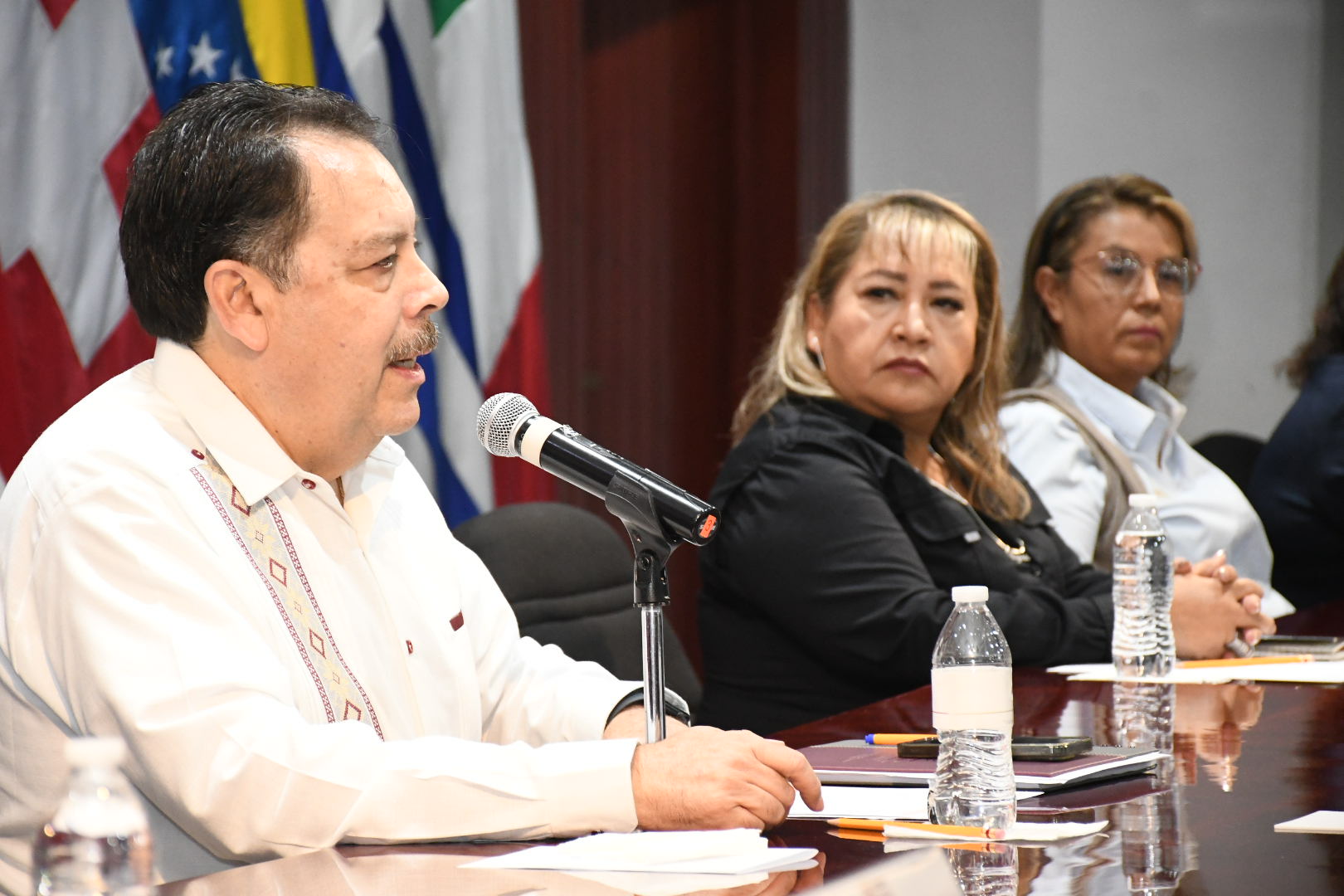 Salutación de la Sección VII, Aguascalientes