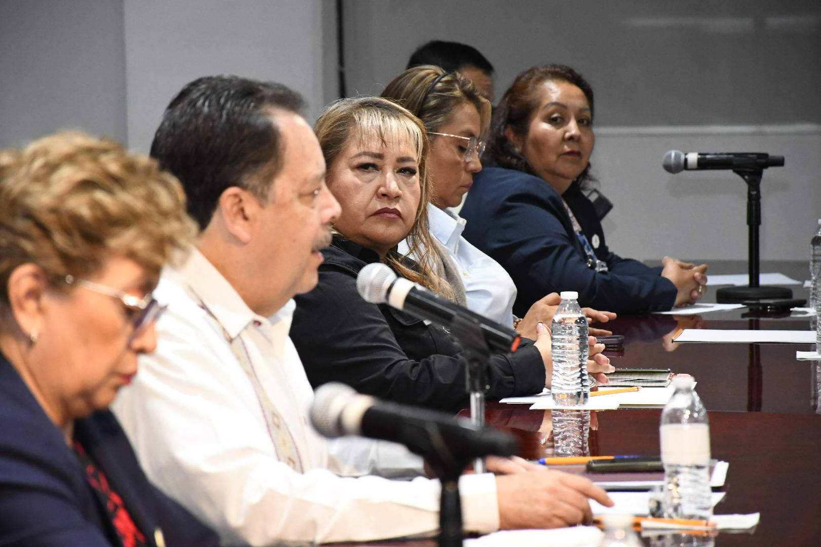 Salutación de la Sección VII, Aguascalientes