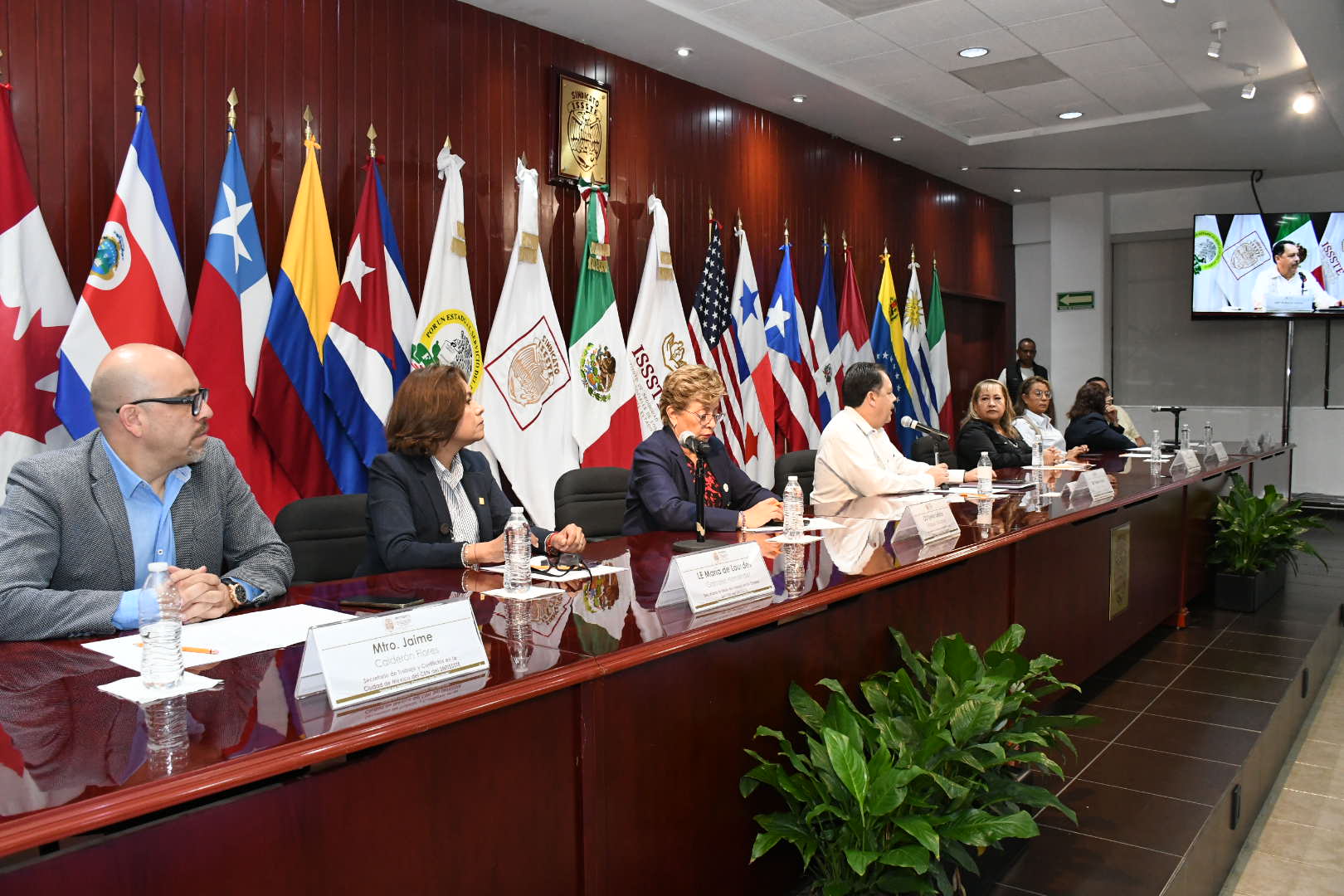 Salutación de la Sección VII, Aguascalientes