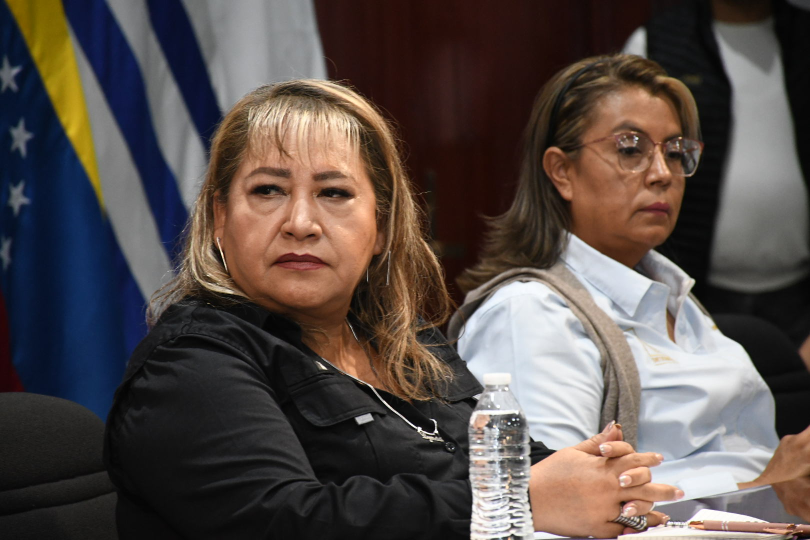 Salutación de la Sección VII, Aguascalientes