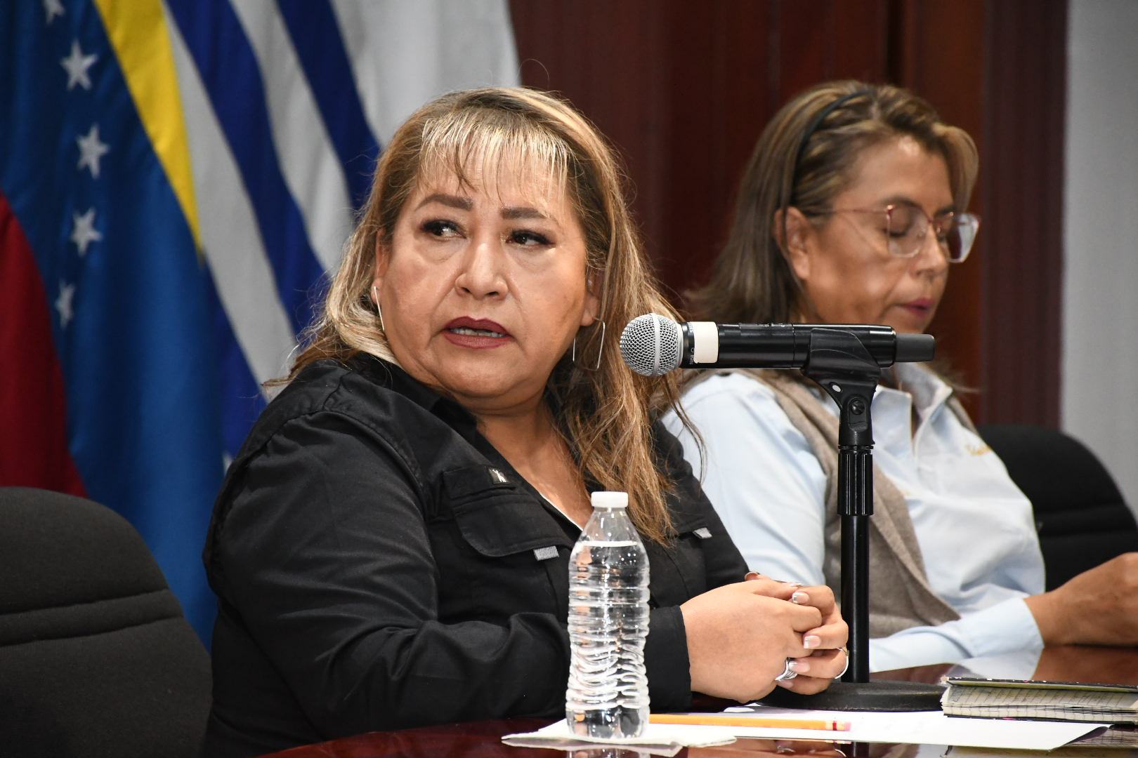 Salutación de la Sección VII, Aguascalientes